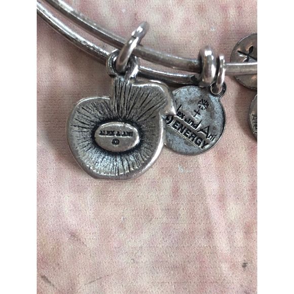Alex & Ani Apple of Abundance bracelet - Picture 6 of 6
